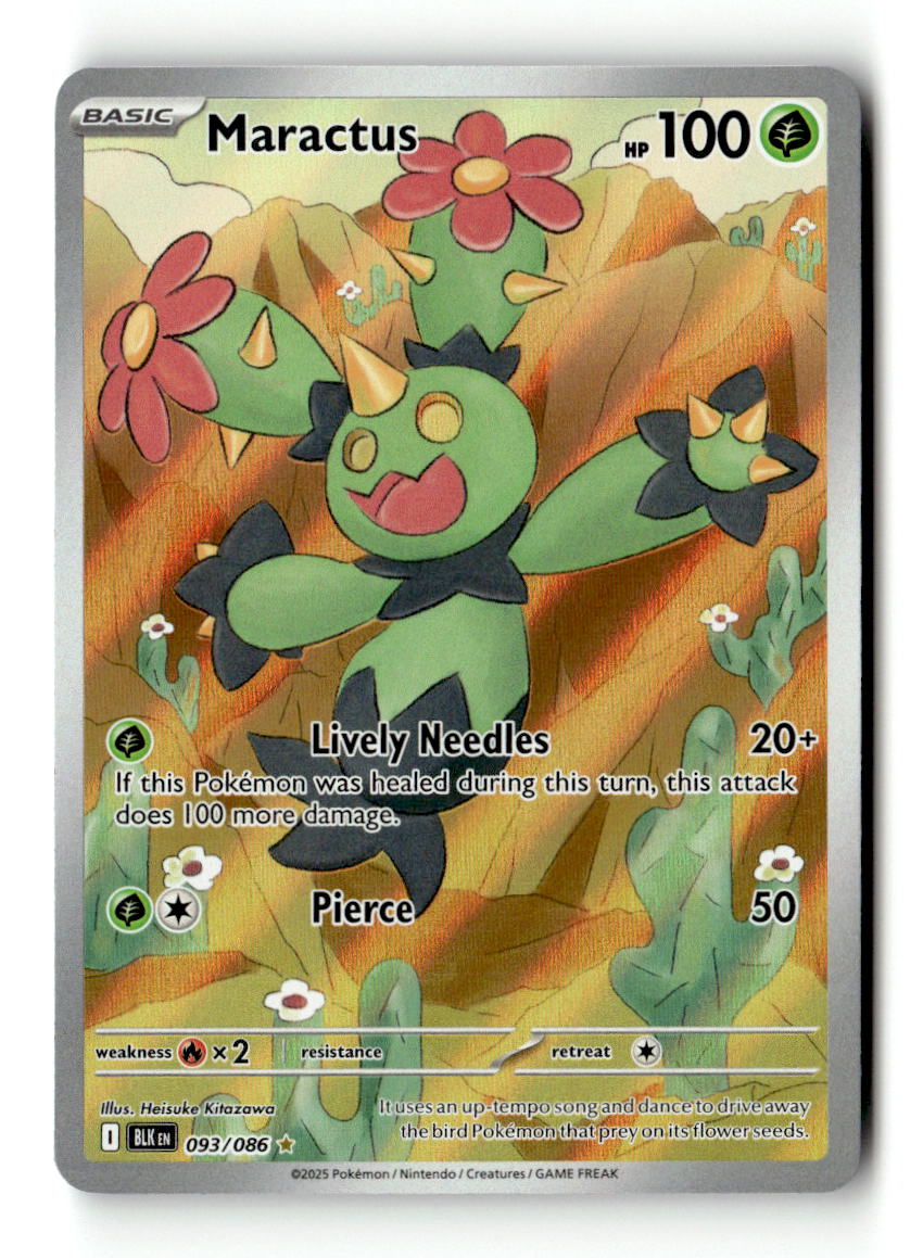 Maractus - 093/086