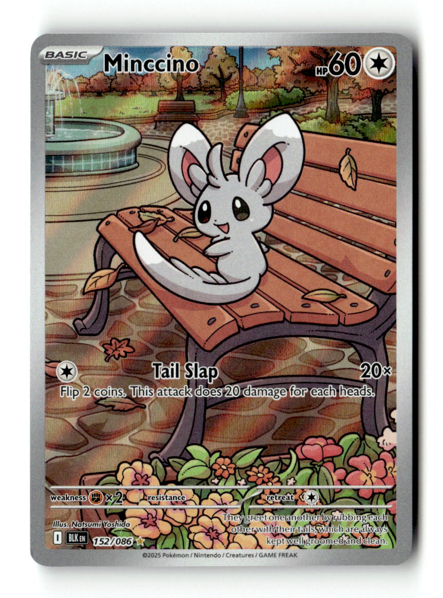 Minccino - 152/086