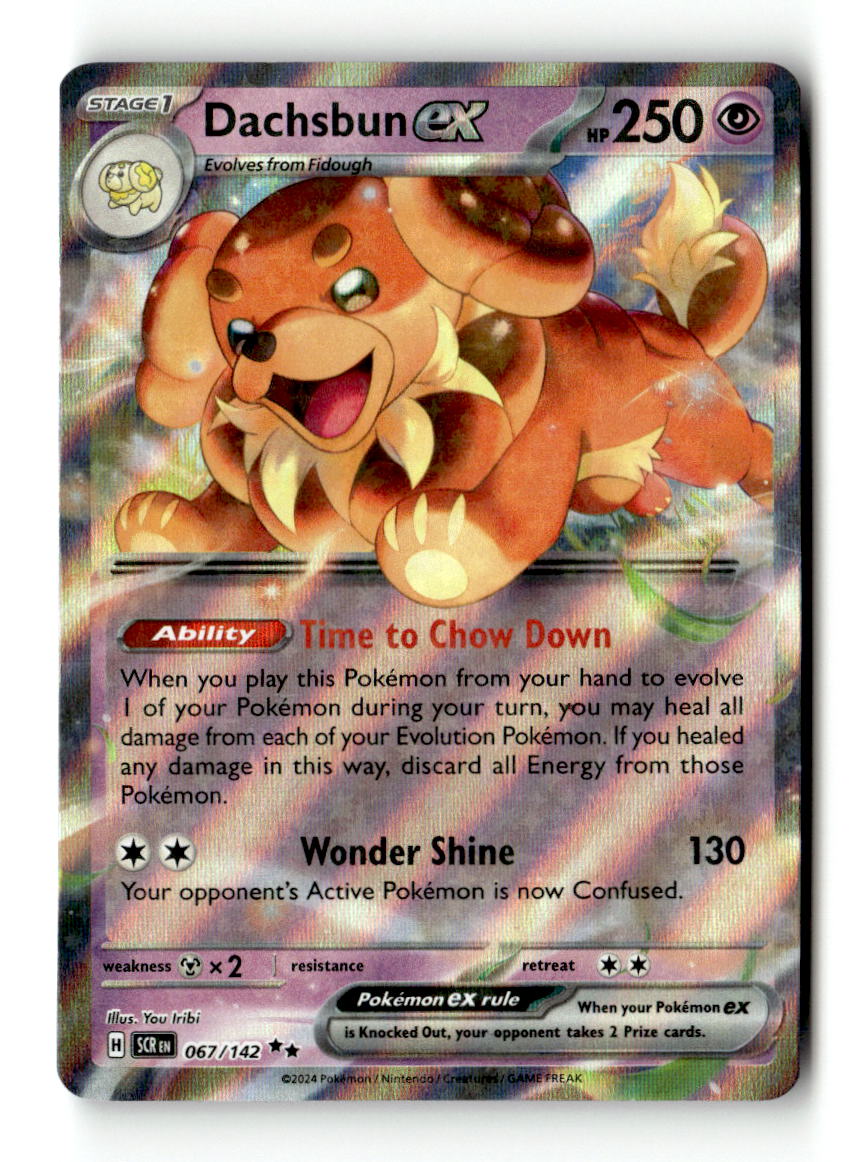 Dachsbun ex - 067/142
