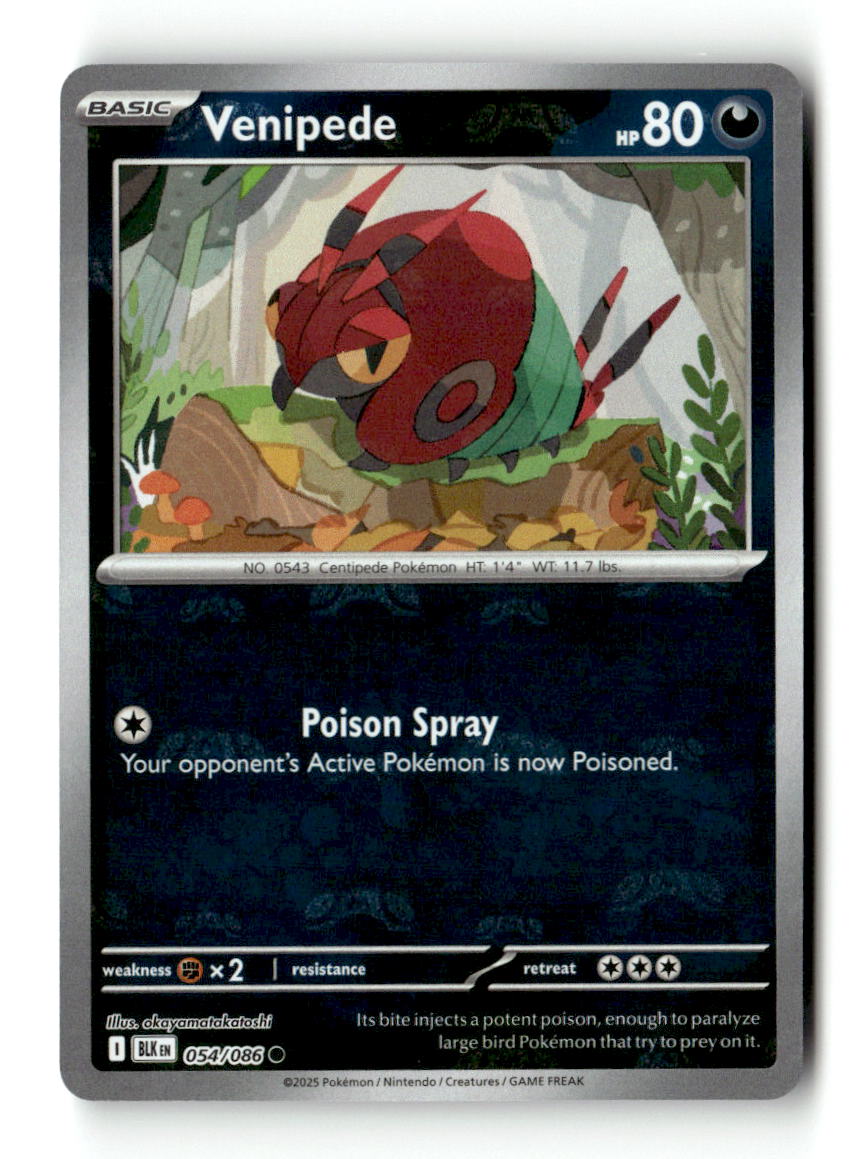 Venipede (Master Ball Pattern)