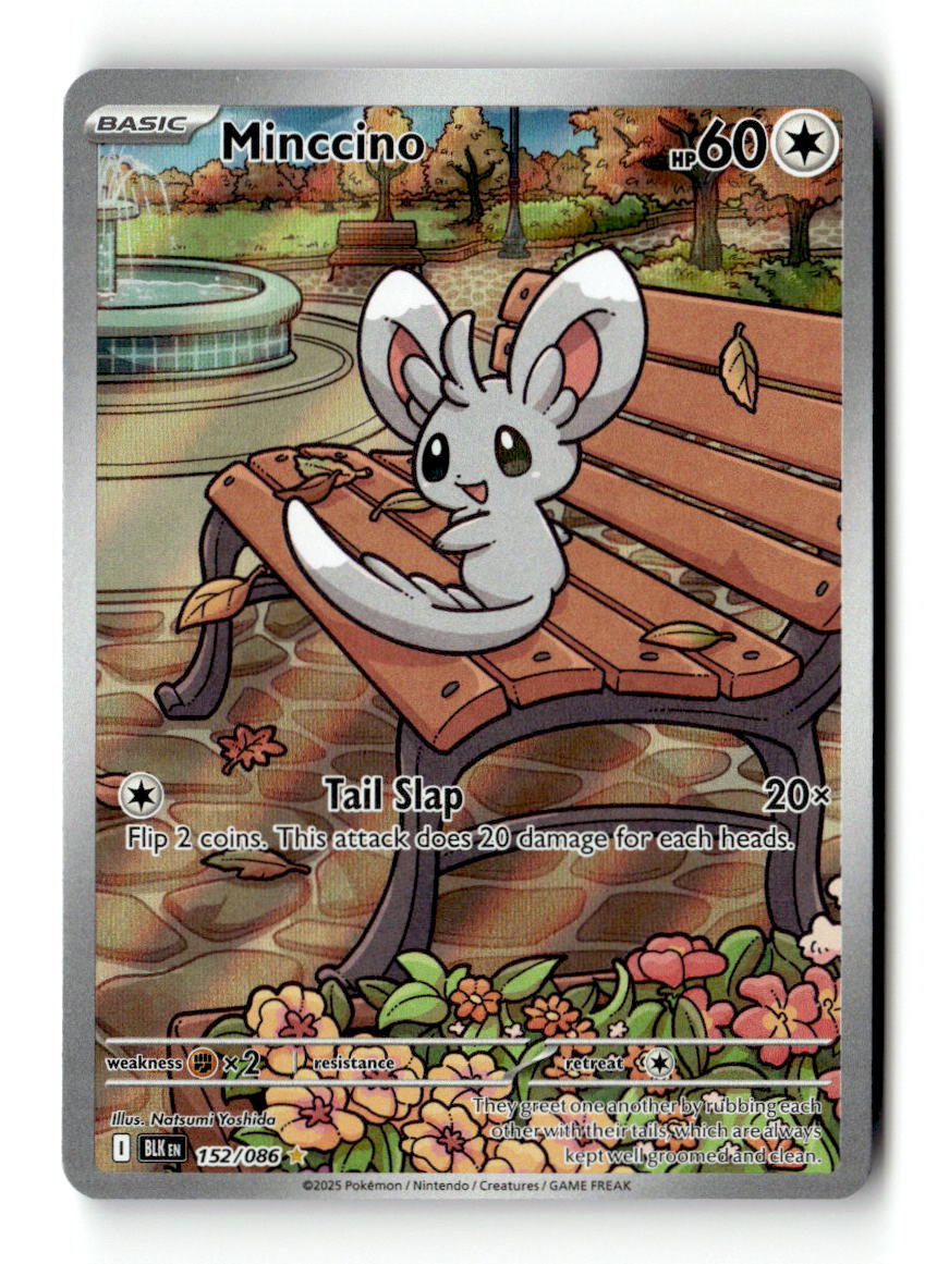 Minccino - 152/086