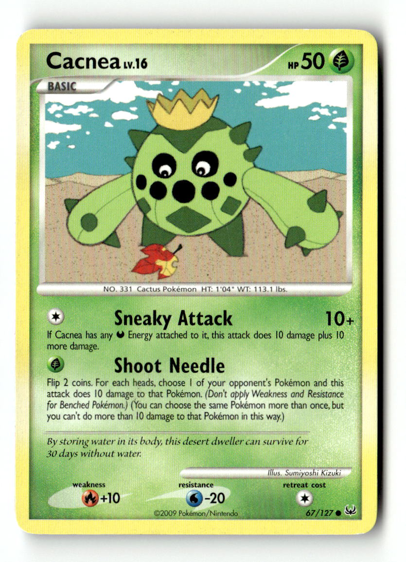 Cacnea