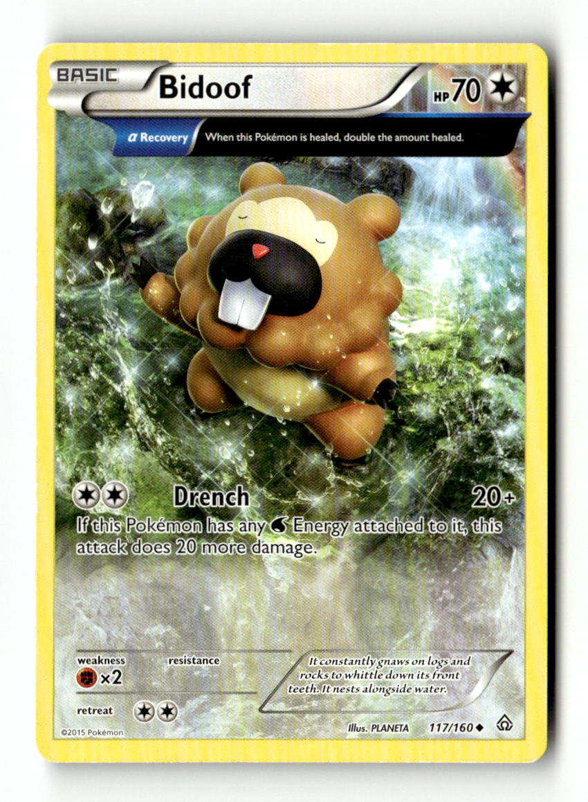 Bidoof (Alpha)