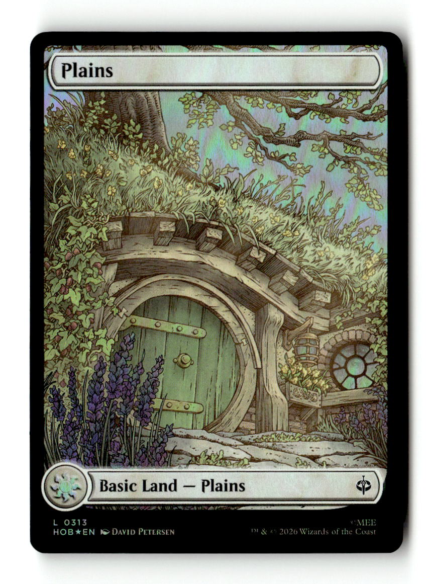 Plains (0313)
